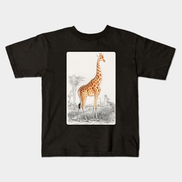 Giraffe Arts Kids T-Shirt by hubcon